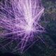Illustration for article titled Traffic from Space Videos Blow Our Minds, Pants, and Socks
